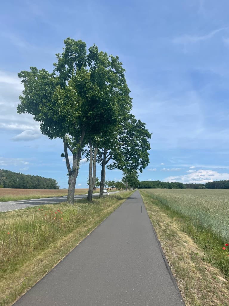 Countryside cycling path